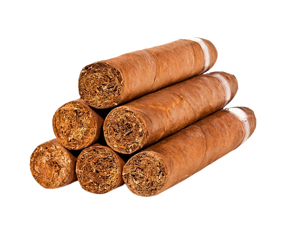 buy premium cigars in MA